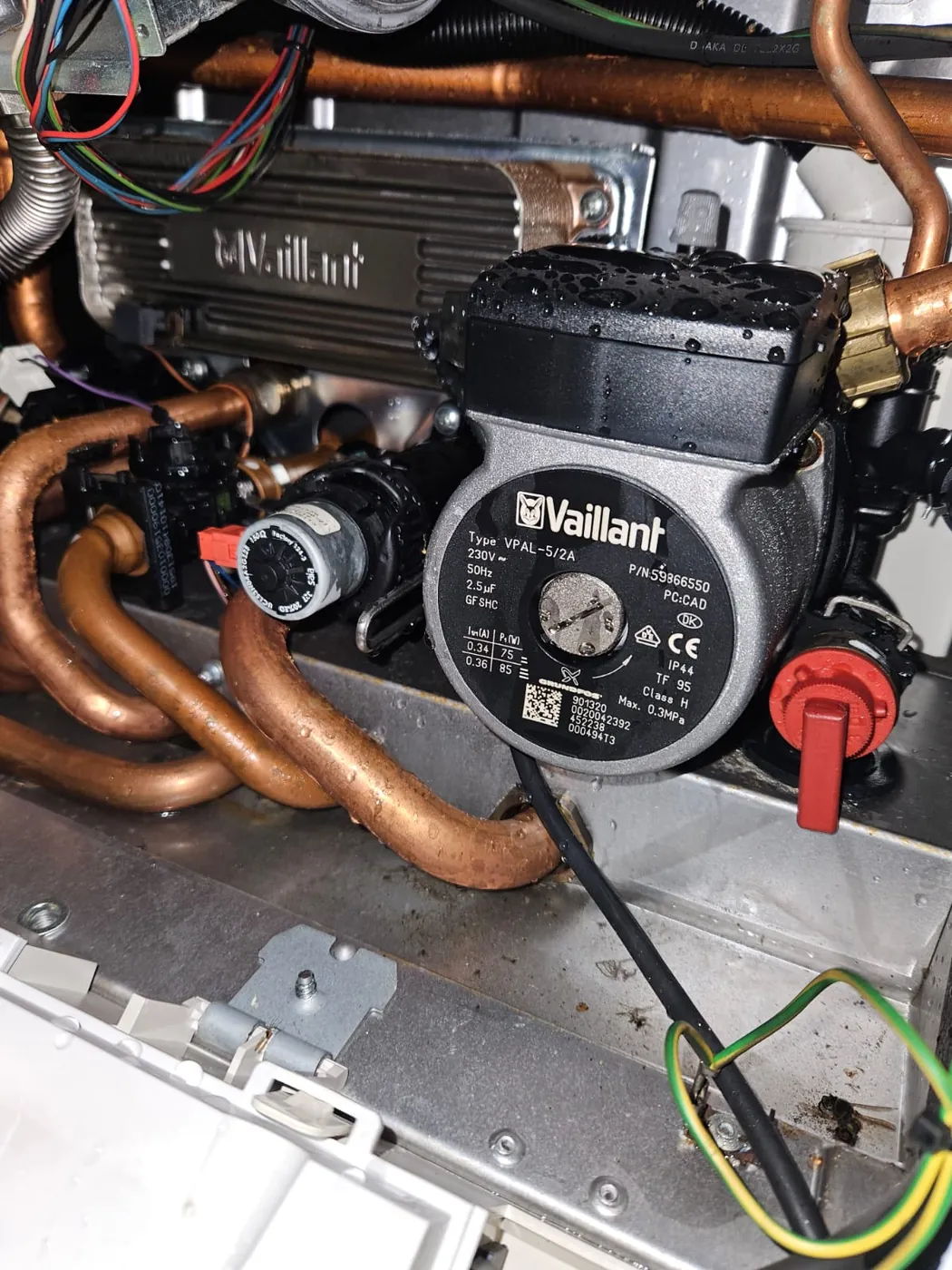 Inside a boiler showing the pump and pipework where a leak was found