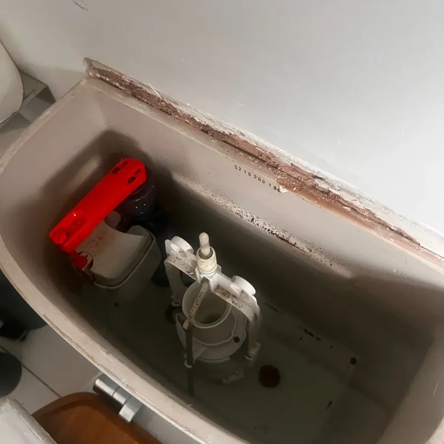 A push-button flush valve inside a toilet cistern