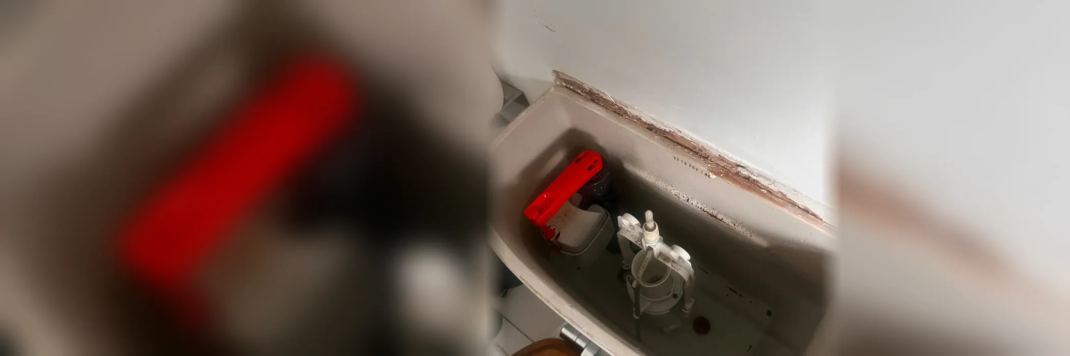 A push-button flush valve inside a toilet cistern