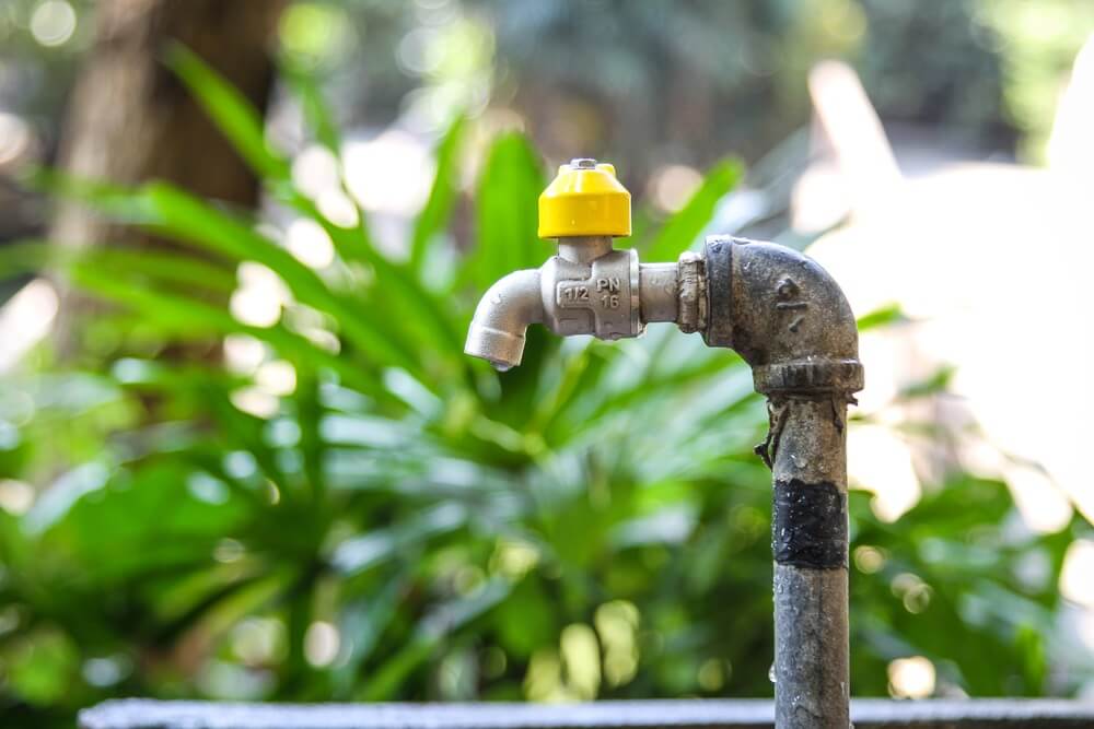 Spring Plumbing Tips from Homecure Plumbers image