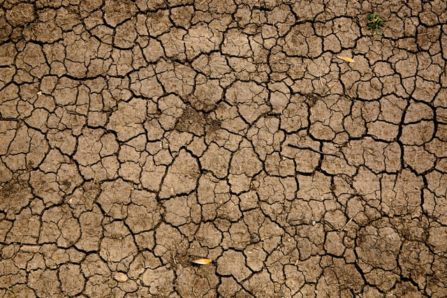 Drought Cracked Ground image